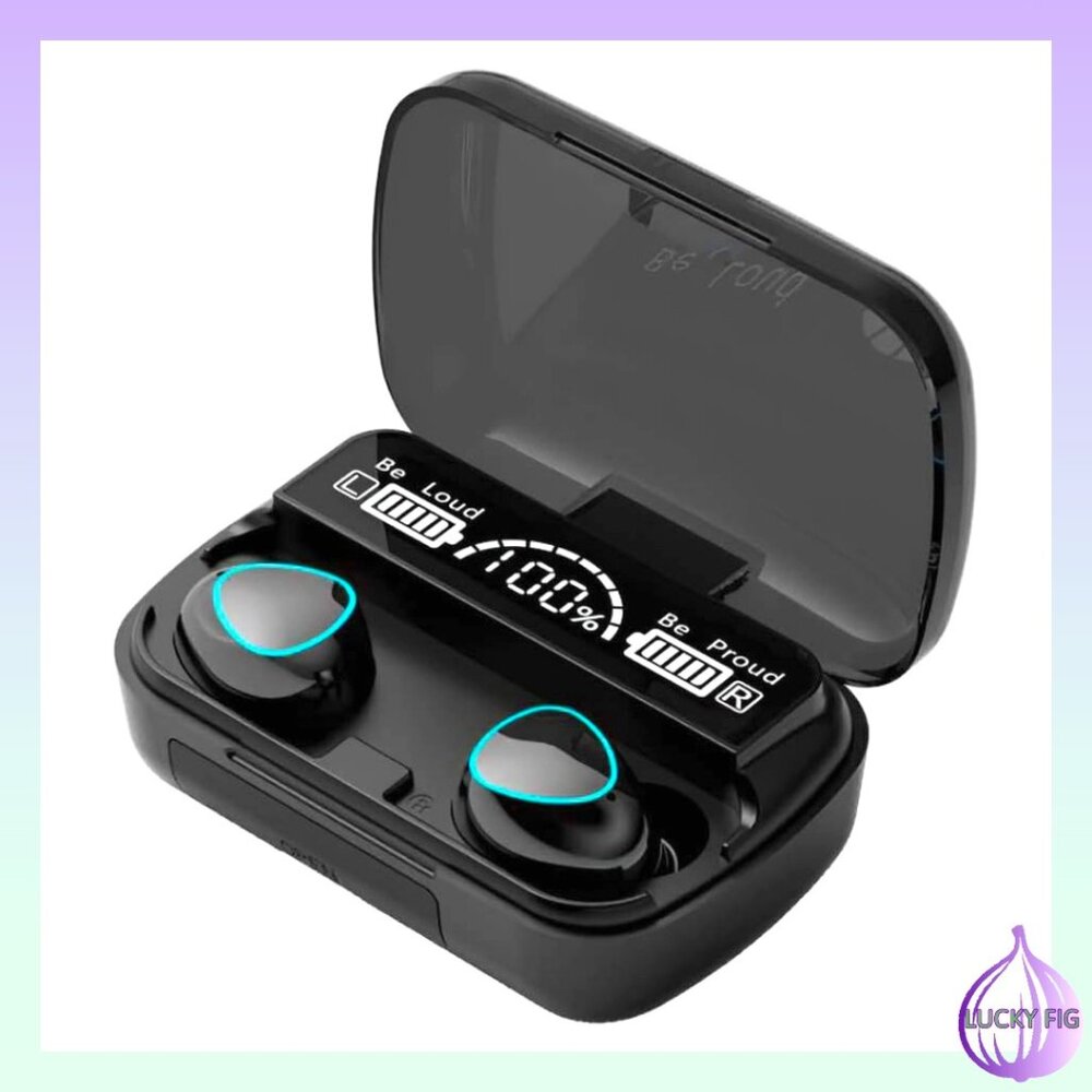 WIRELESS EARBUDs LOUD AND PROUD